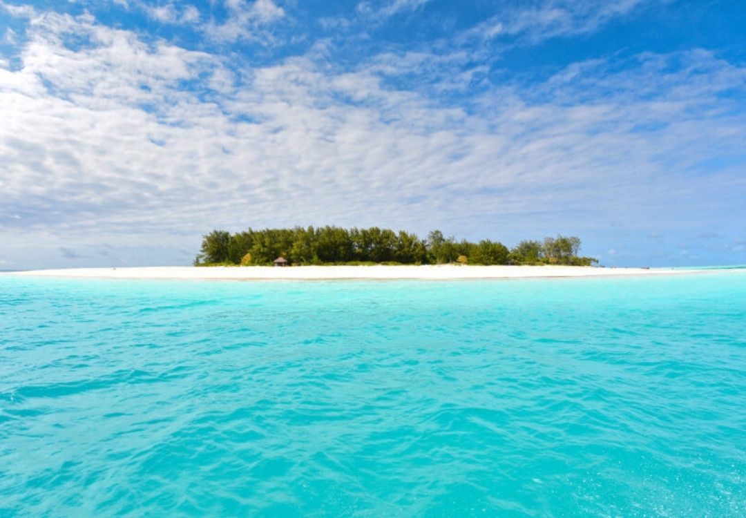 zanzipride tours mnemba