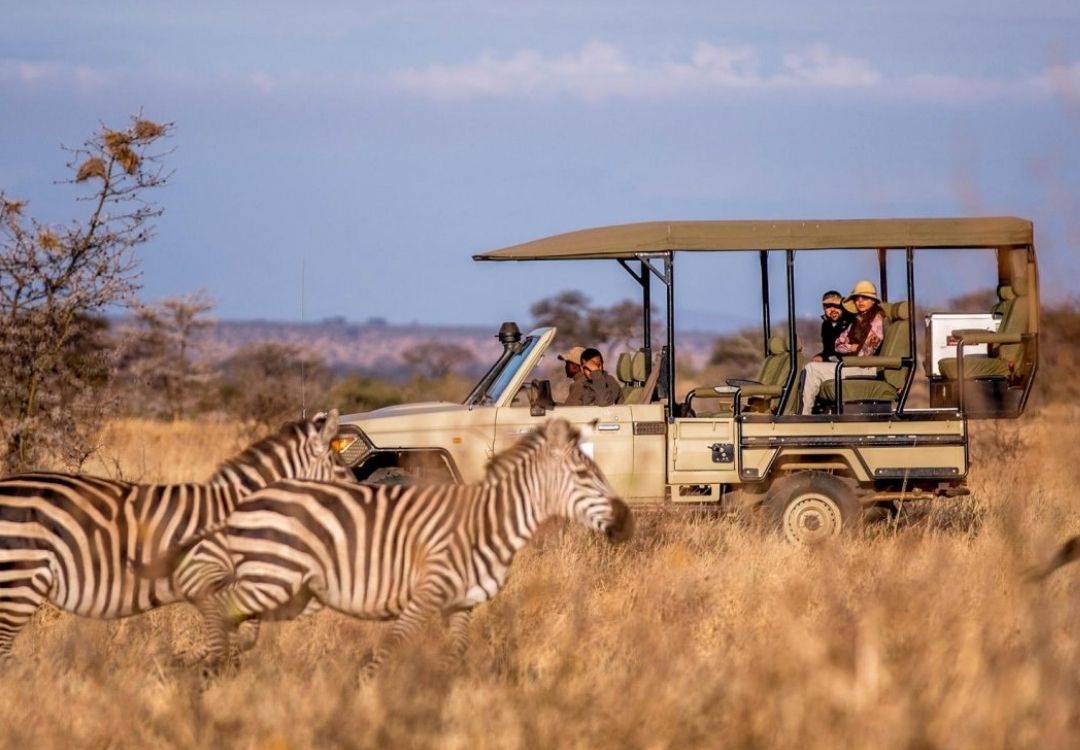 zanzi pride tours safaris