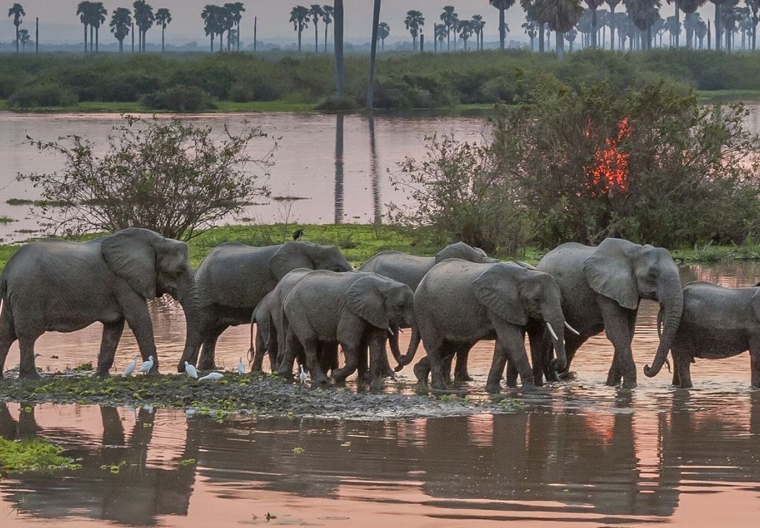zanzi pride tours safaris