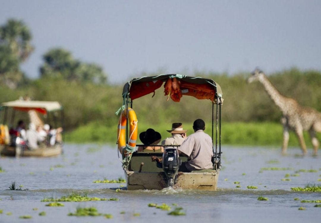 zanzi pride tours safaris(9)