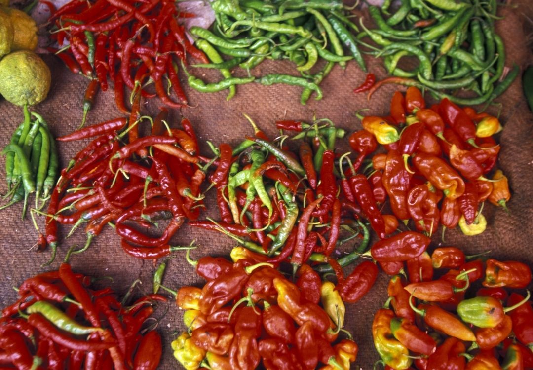 zanzibar spice farm